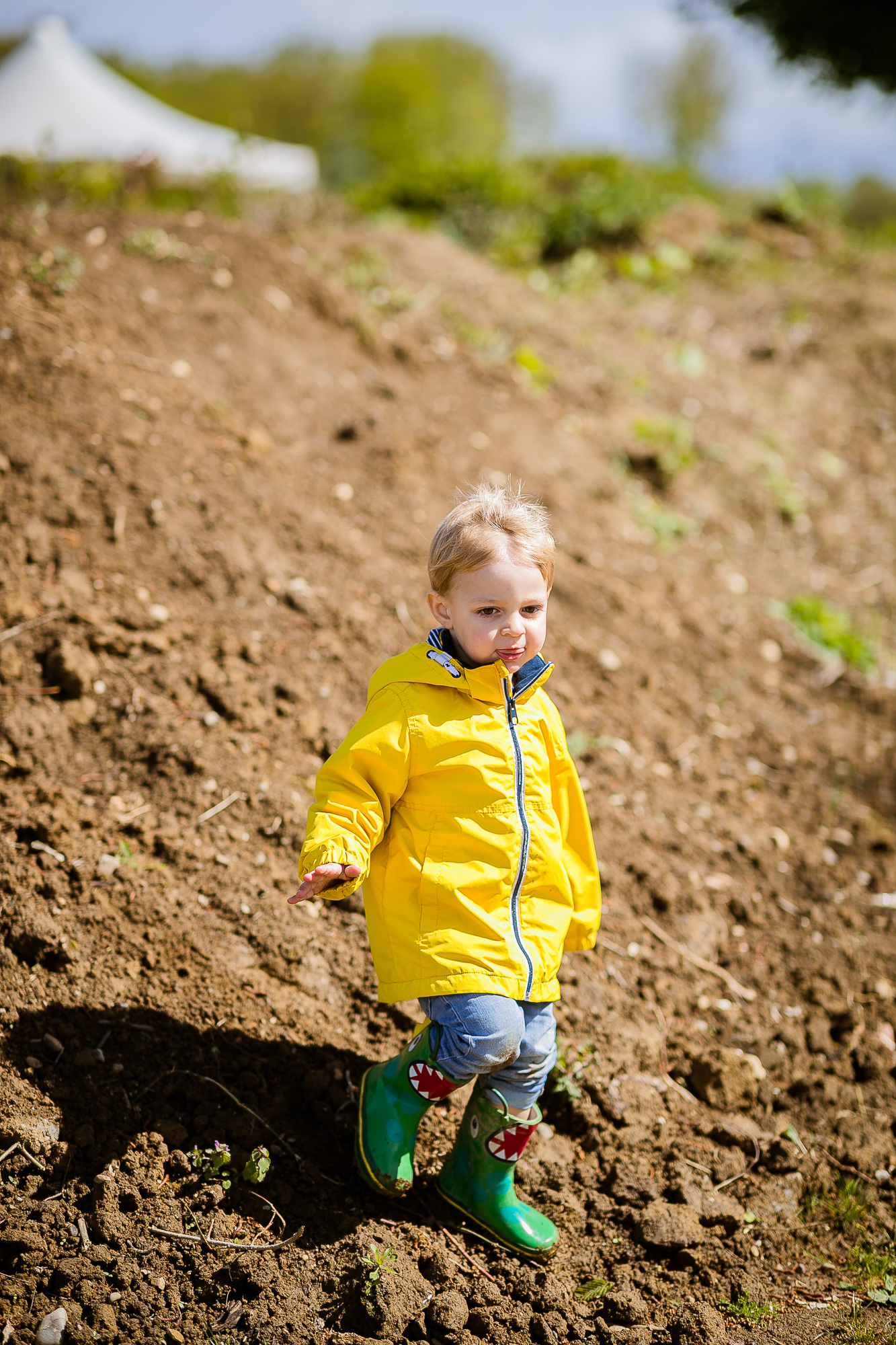 Export x3 1DX28325 Familienfotoshooting 2019 Hefti